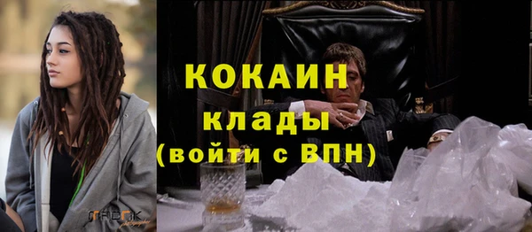 твердый Богданович