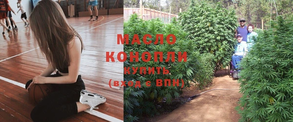 дживик Богородицк