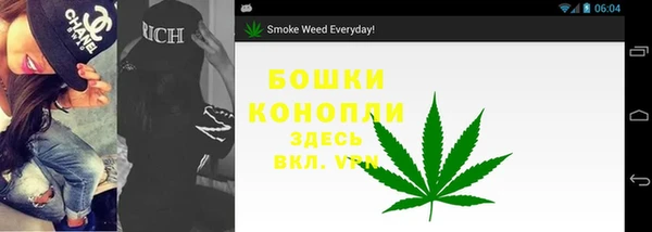 твердый Богданович