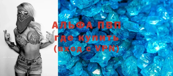 твердый Богданович