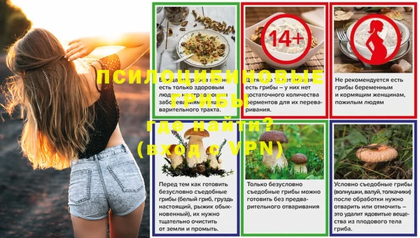 твердый Богданович