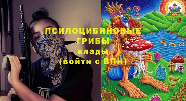 первитин Белокуриха