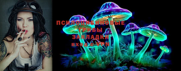 дживик Богородицк
