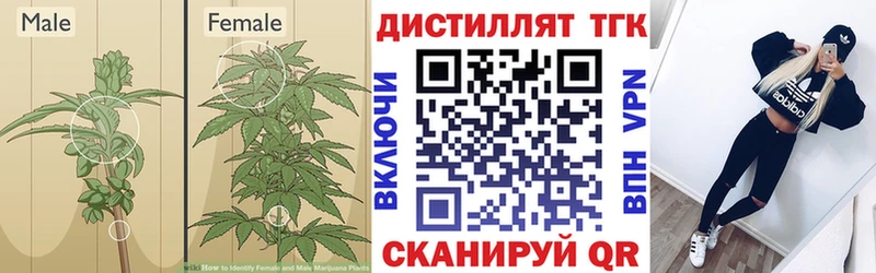 kraken ONION  Бор  ТГК гашишное масло 